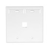 Leviton Number of Gangs: 2 High-Impact Plastic, White 42080-1WP